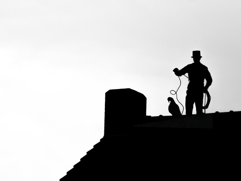 How to Get a Bird Out of Your Chimney